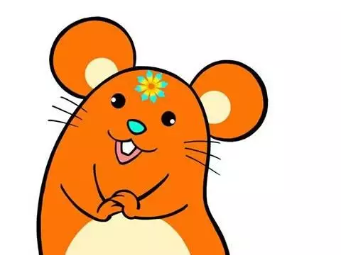 今天屬相衝忌什麼生肖：今天什麼生肖沖什麼生肖
