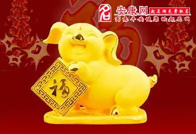 2、運氣和財運好的圖片:用魚的頭像運氣財運好不好