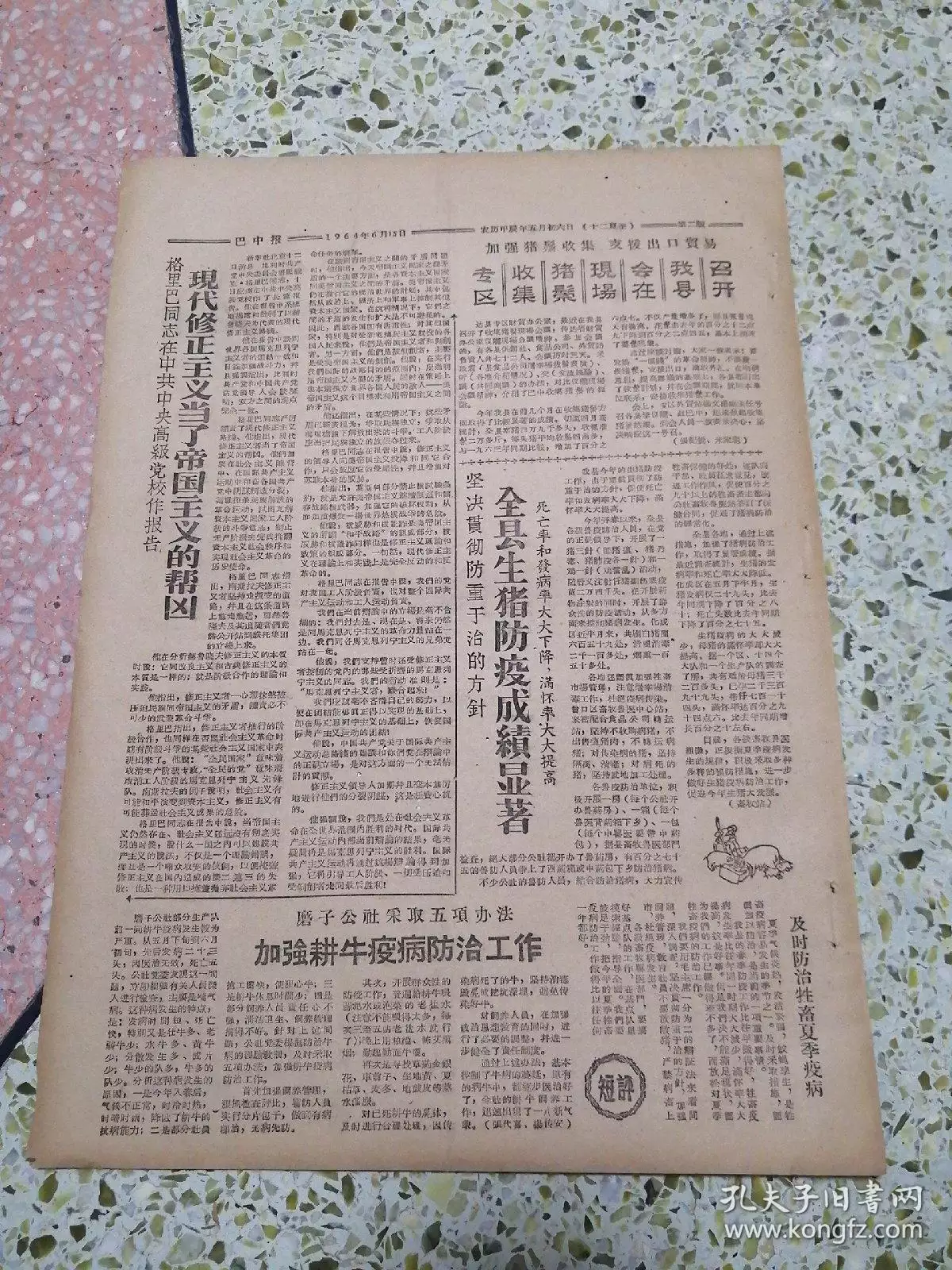 年2月8日出生屬相：年2月8日什麼星座