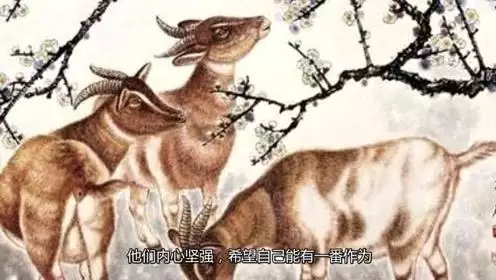 出世拜天地，二六食苦頭，(欲錢買“陳皮”)(解無看“”)配“一生走腳命”。猜一生肖？求解求解（