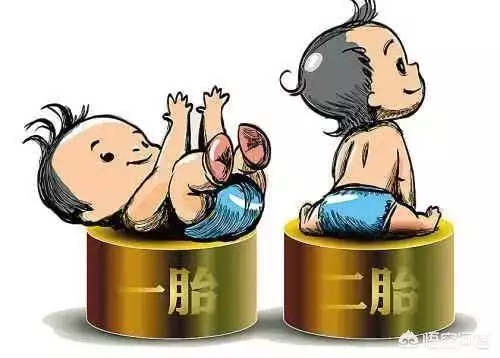 屬龍生忌生什麼屬相的孩子：屬龍的生什麼屬相的寶寶好
