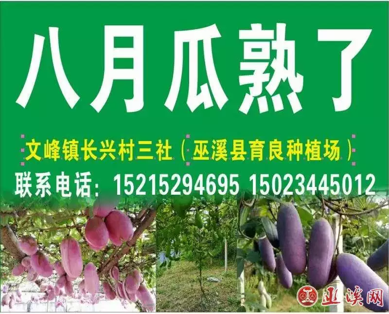 4、八月和十月馬婚配好嗎:屬馬與屬馬相配嗎？男是90年8月的，女是90年10月的。