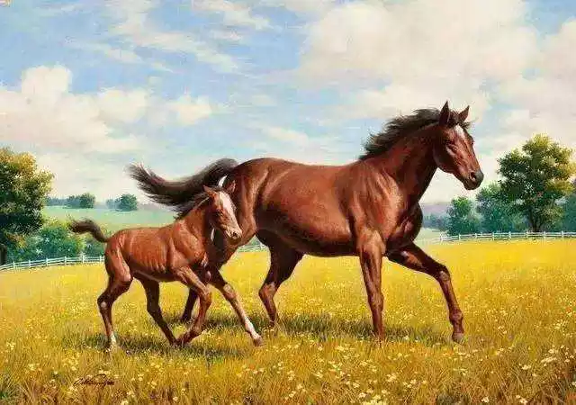 1、屬相馬與雞的婚配結局:屬馬和屬雞相配嗎