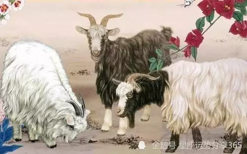 1、屬龍男與屬女羊的婚配好欠好:屬龍男和屬羊女的配婚好嗎