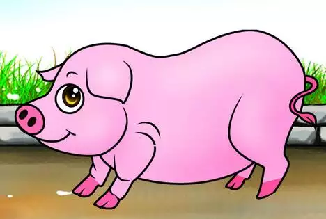 屬豬的人和什麼屬相做生意最合財：屬豬和什麼屬相合財