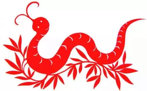 2、屬蛇的屬鼠的能婚配嗎:屬鼠的能跟屬蛇的在一起嗎？