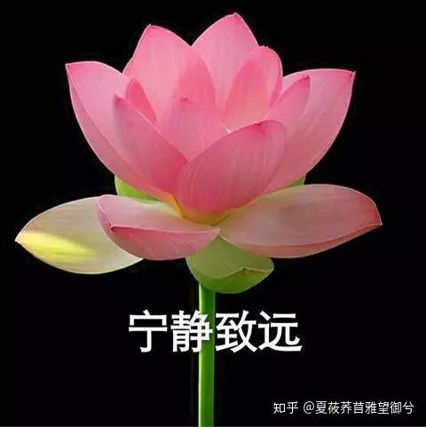 女人起什麼網名運氣好：好運的微信女網名大全