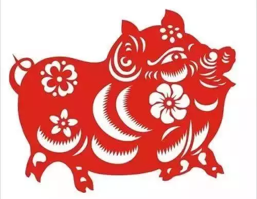2、屬豬的干什麼行業好:屬豬的適合做什麼行業