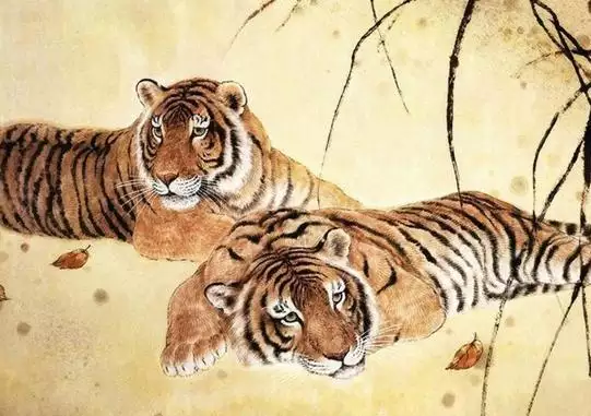 為什麼說男虎女猴不能在一起：屬猴女和屬虎男真不能在一起嗎?