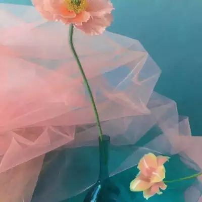 2、花圖片大全頭像:唯美 可愛的 帶花的頭像 ~