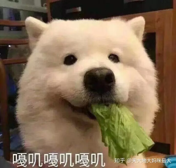 第一眼就吸引人的圖片：一張讓人看了就心疼的圖片。圖片是人