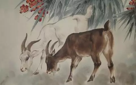 屬羊的女人命運怎麼樣：女的屬羊好嗎