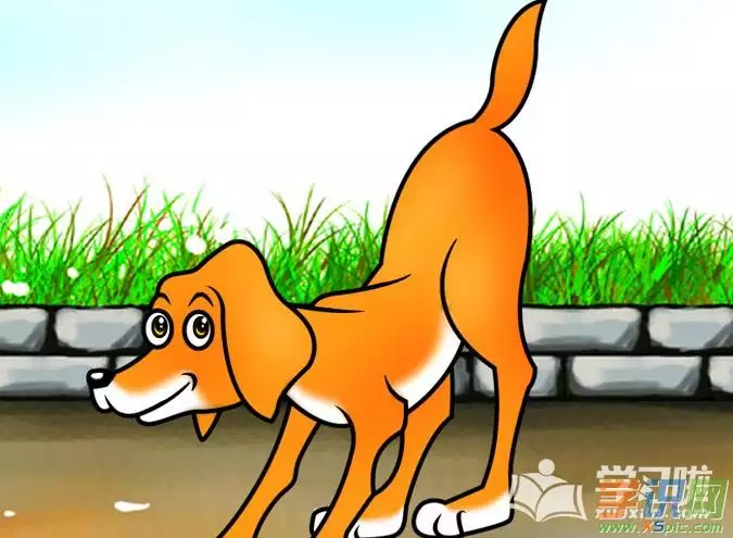 1、屬狗的和屬什麼的婚配:屬狗人的婚配適合什麼屬相