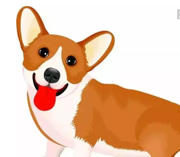 屬狗的後裔哪個屬相最好：屬狗怙恃生什麼屬相的孩子好?