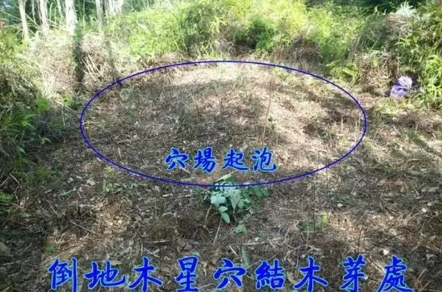 3、讓仇人倒霉的絕招風水:叫仇人快速倒霉方法？