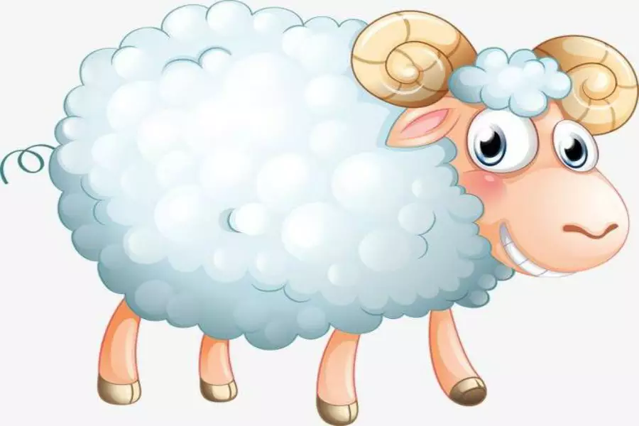 我屬牛老公屬猴要什麼屬相孩子好：年是什麼生肖年五行屬什麼