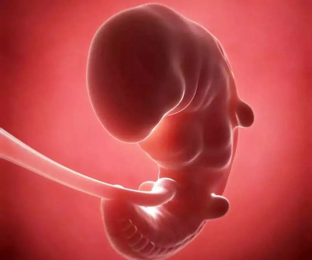 3、做了無創檢查后很後悔:做了無創DNA，希望2個禮拜后的結果過我滿意！
