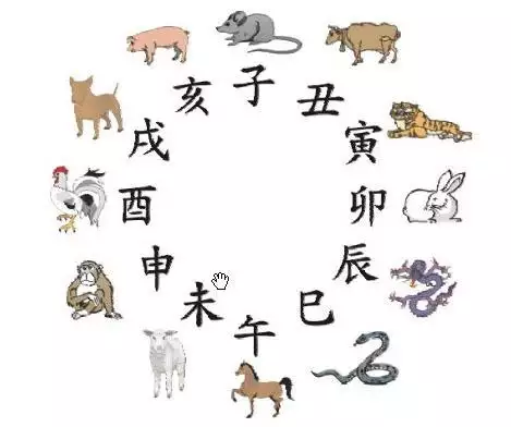 1、97年屬豬的婚配表:屬豬的婚配是什麼屬相