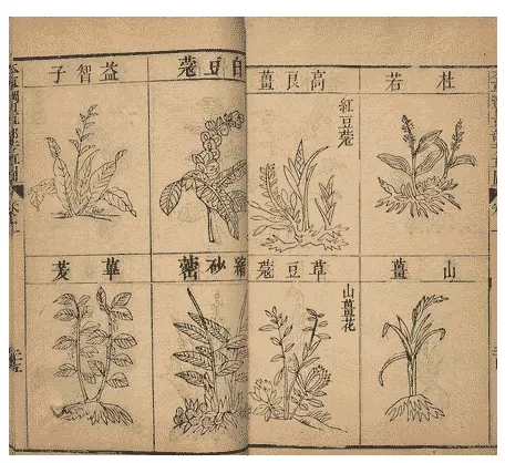 李時珍生於哪個朝代屬相什麼：李時珍是什麼朝代