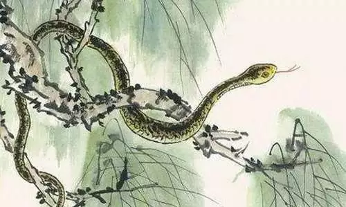 6、屬蛇人的性格和脾氣男人:屬蛇人的性格和脾氣？