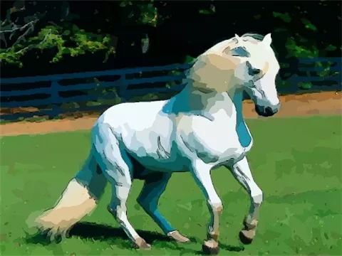 屬馬的孩子認什麼屬相的乾爹：馬年出生的孩子找什麼屬相的