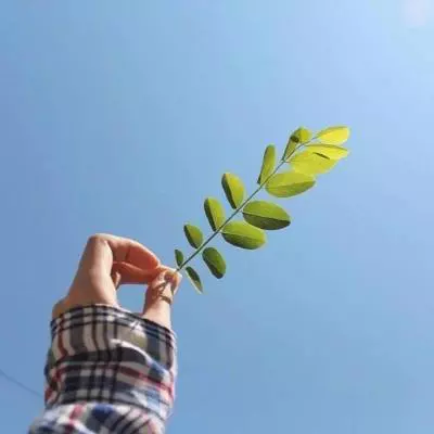 年幸運微信頭像圖片：年用什麼做微信頭像最好