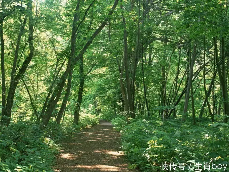 哪個屬相男人心胸變大：心胸最寬廣是什麼生肖