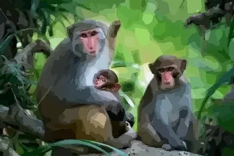 1、屬猴的大難臨頭:屬猴的年有一難
