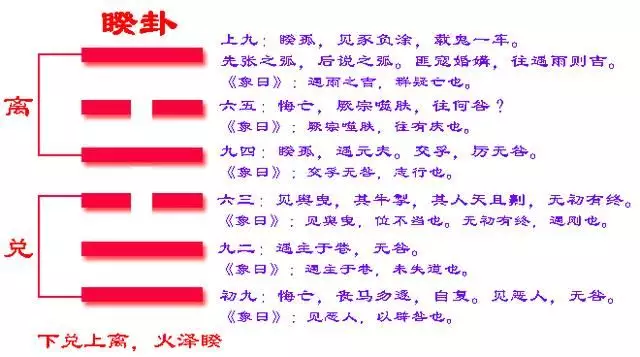 2、男女婚配遵照的生物學原則:放射生物學的放射生物學簡介