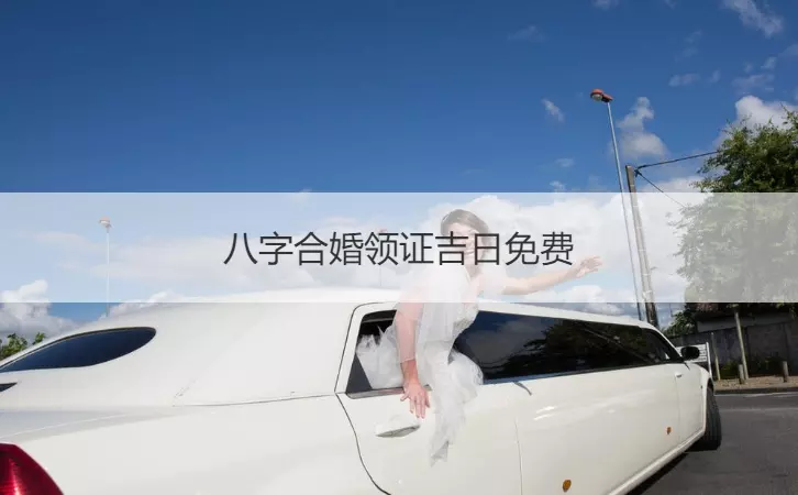 4、合婚是啥意思呢:兩個人合婚是什麼意思呢？