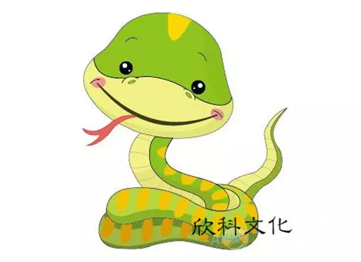 年屬蛇多大了：屬蛇的今年多大？