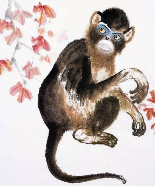 十二生肖有哪些屬相是屬猴的：屬猴的生屬什麼屬相的好