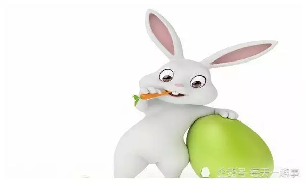 2、屬兔的幾月出生命:屬兔的幾月出生不好