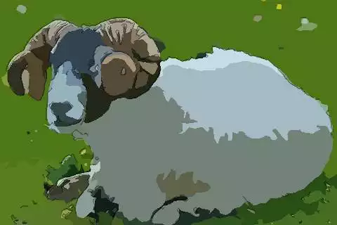 1、年屬羊的人今年怎麼樣:屬羊的年運勢運程