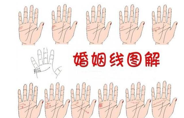 3、婚姻線是哪條:生命線是哪根？婚姻線又是哪根？
