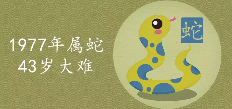 2、年生肖運勢算命網:年生肖屬馬人流年運程