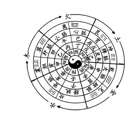 1、四柱八字來后如何看:請問四柱八字排盤怎麼看