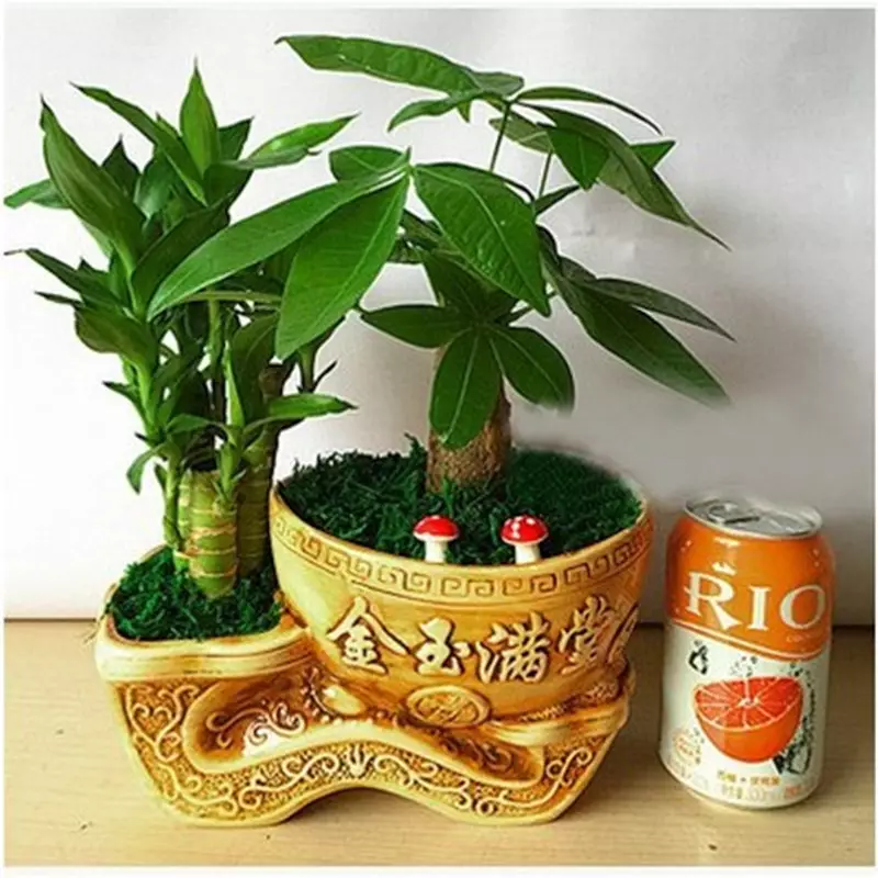 1、怎麼能招財轉好運賣貨:招財轉運的方法