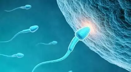雙歲雙月生男孩還是生女孩呢：單月生女孩雙月生男孩這是真的嗎