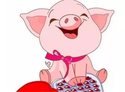 9、60的男鼠與71的女豬婚配若何:男鼠和女豬婚配合宜嗎？