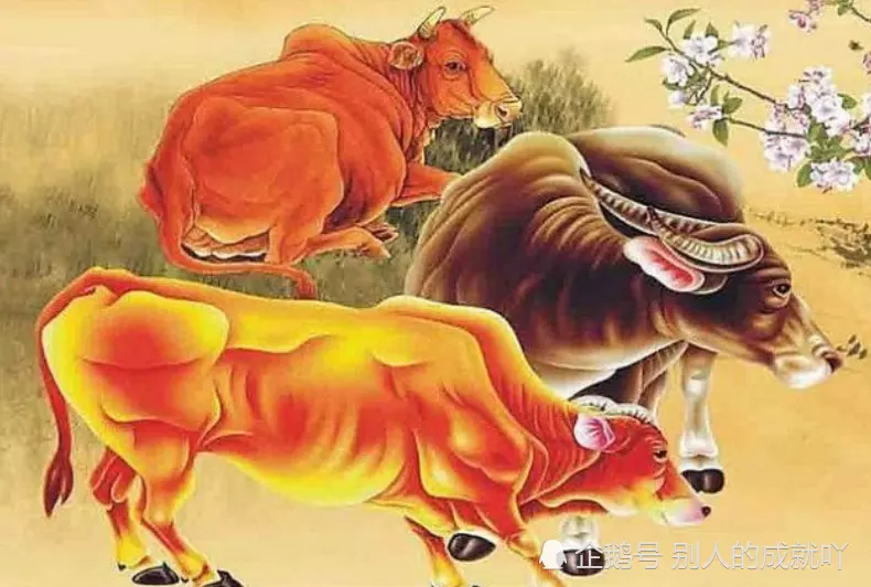1、一輩子註定拆不散的生肖配對:關於生肖配對
