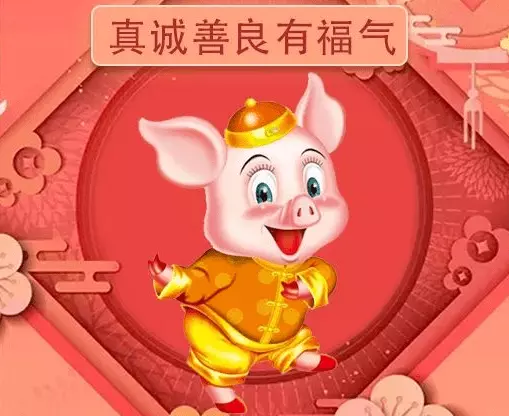 2、屬兔和屬豬婚配好不好:屬兔和屬豬屬相相配,八字不合可以嗎