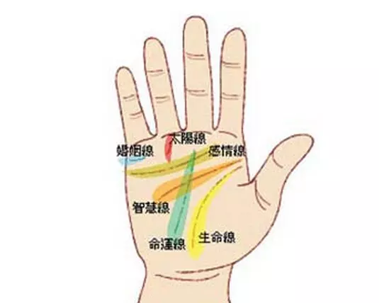5、婚姻線斷了代表什麼:為什麼婚姻線會有兩段這代表什麼？