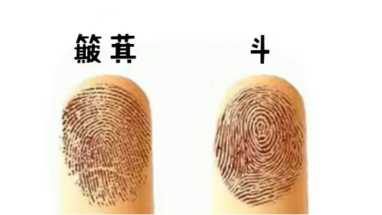 5、一個斗和十個簸箕的婚配:十個斗，和十個簸箕的人在一起會怎麼樣？