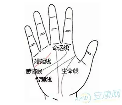 3、姻緣紅線斷了怎麼辦:月老紅線 怎麼弄斷？