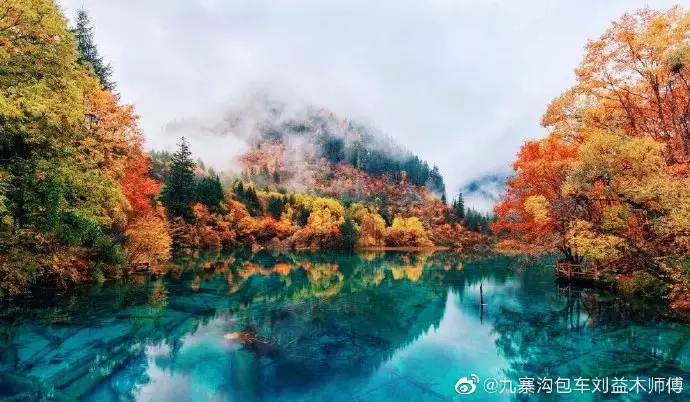 8、姓張的和哪個姓氏最婚配:姓羅和姓張能婚配嗎