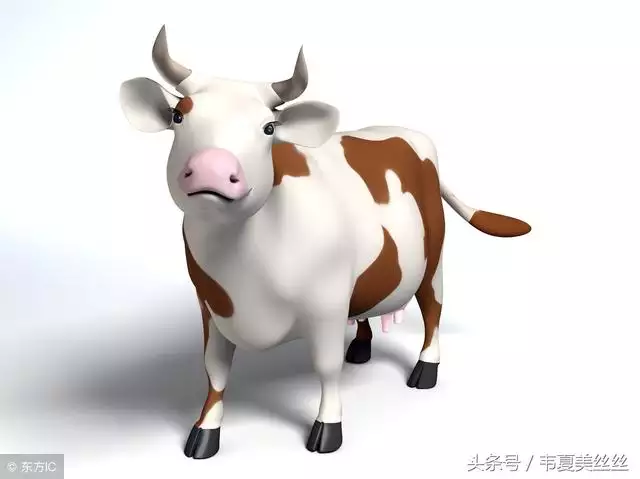6、請問屬牛的配偶是什麼:屬牛配偶(男人）