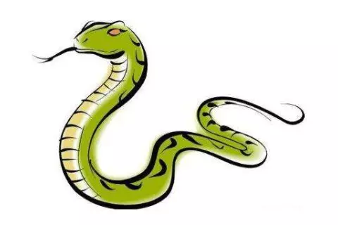 2、馬與蛇的屬相合不合:我屬蛇,我老公屬馬,我倆屬相和不合