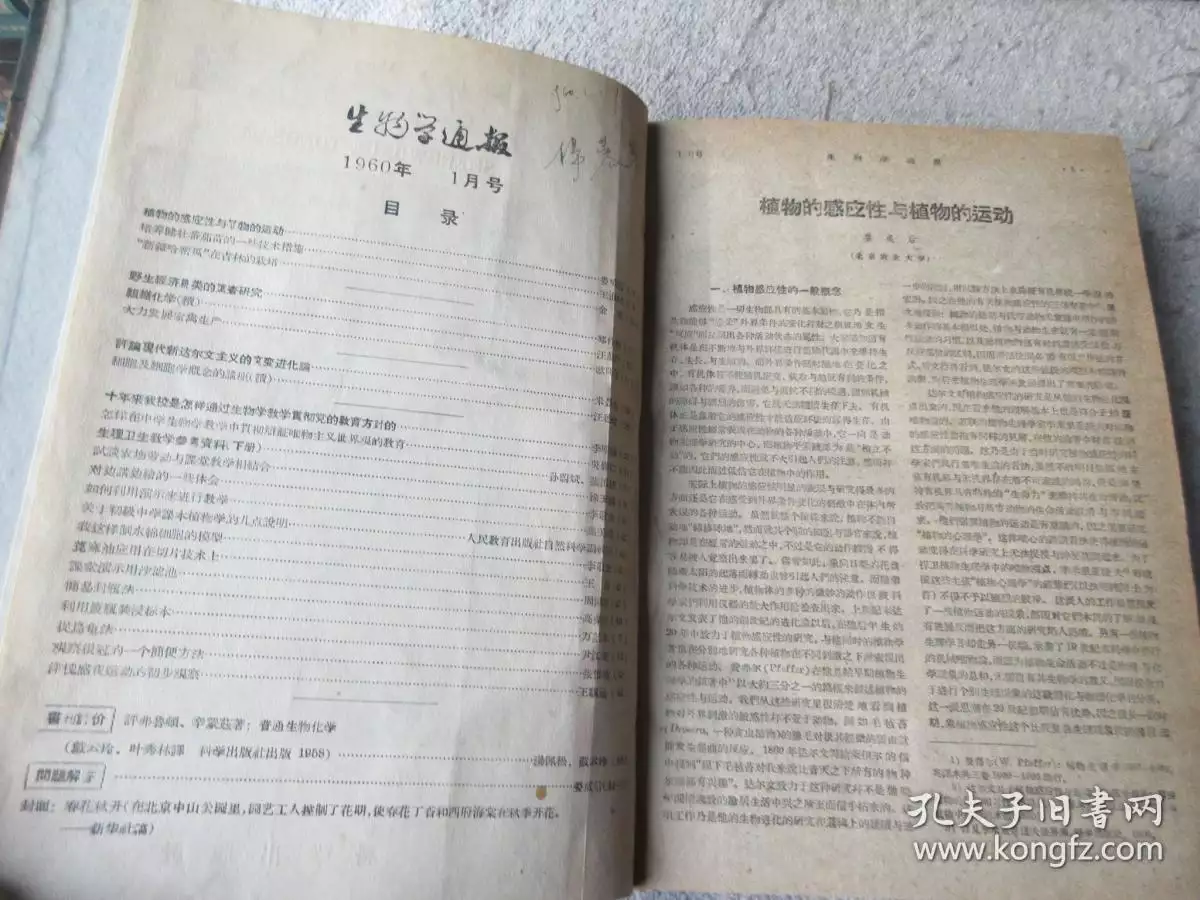 4、年女與年男婚配:年生屬馬的與年屬龍的龍婚好嗎