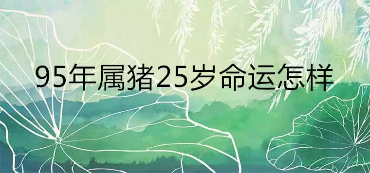 2、95年屬豬的姻緣晚婚:九五年屬豬的婚姻配對